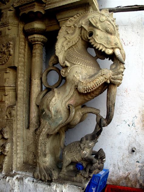 Tamil Culture and Tradition - OUR DREAMS : What does 'Yali ... Tamil culture is expressed in language, literature, music, dance, theatre, folk arts, martial arts, painting, sculpture, architecture.