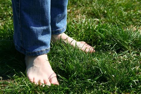 Walking Barefoot Stock Photo Image Of Grass Flowers 10278120