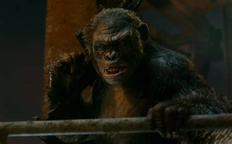 A group of scientists in san francisco struggle to stay alive in the aftermath of a plague that is wiping out humanity, while caesar tries to maintain dominance over his community of intelligent apes. Archives Of The Apes: Dawn Of The Planet Of The Apes (2014 ...