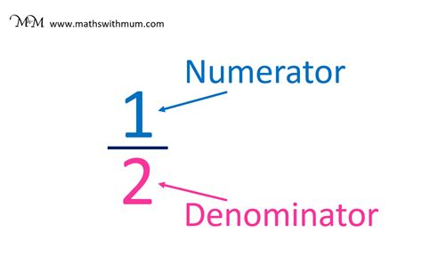 Fractions Numerator And Denominator