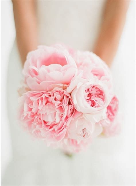 Pink Peonies Blair Waldorfs Favorite Rose Bridal