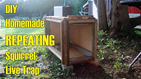 Homemade Uhlik Repeating Squirrel Live Trap Diy How To Make