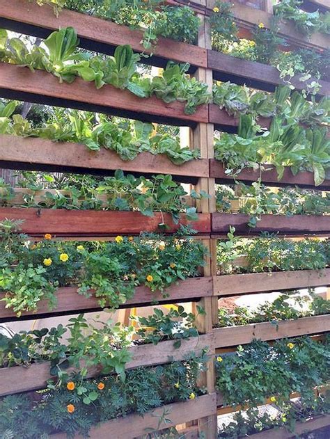 60 Easy Creative Privacy Fence Design Ideas Patioprivacyscreen 60 Easy