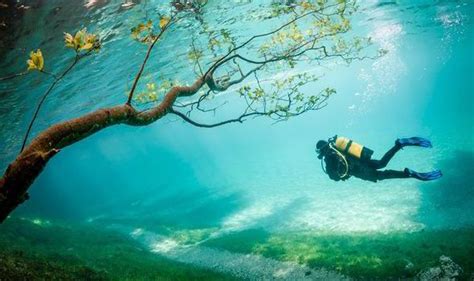 Pictures Like A Fairy Tale The Beautiful Underwater World Of Hikers