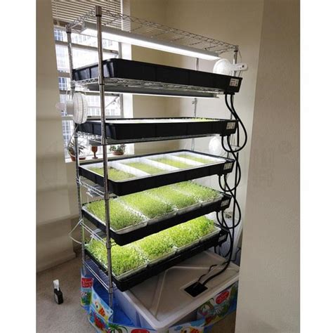 Indoor Seed Starting Rack System 6 Tiers Chrome Wire Shelving Cart For