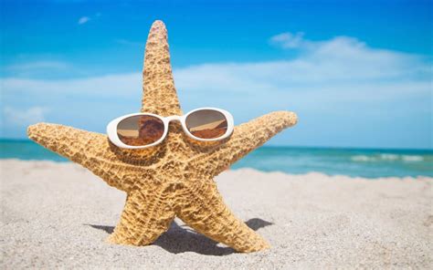 A Starfish With Sunglasses In The Sand