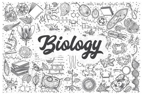 Hand Drawn Biology Doodle Set Lettering Biology Manos Dibujo