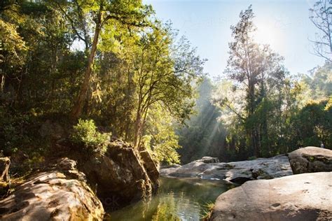 Image Of Beautiful Riverside Scenery Of Trees And Creek With Sun Beams