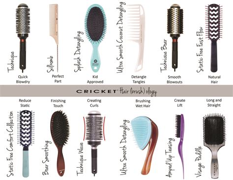 Cricket Hairbrushology A Guide For What Brush Is The Correct One To