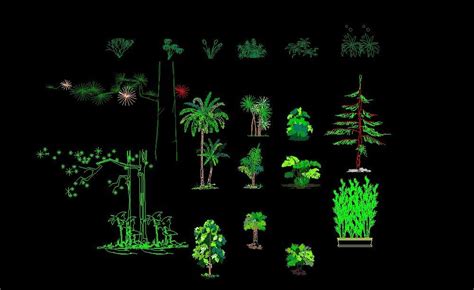 Trees Shrubs And Palm Trees Plants Front View Elevation 2d Dwg Block