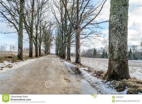 Country Road In Winter Stock Image Image Of Travel 104629267
