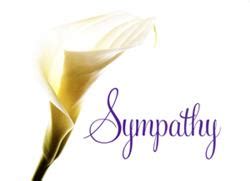 Can be used for sympathy card, wedding invitation or other celebrations. Church Sympathy Card - Nrsv 12 Church Supplies : Judson Press