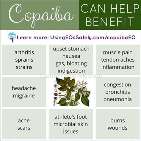 With copaiba essential oil, you can get the pain relieving properties of a cannabinoid without the psychoactive side effects which often come with it. Using Copaiba Essential Oil Safely | Using Essential Oils ...
