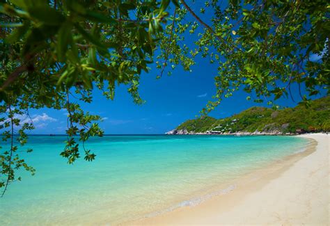 Meaning of beach in english. KOH TAO : a Complete Guide