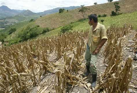 Agricultura enfrenta consecuencias del cambio climático 2000Agro