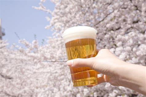 桜を眺めながら楽しみたい！お花見にぴったりな人気のお酒10選 wow magazine ワウマガジン