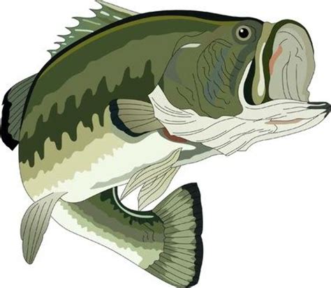 Download High Quality Clipart Fish Bass Transparent Png Images Art