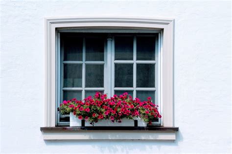 8 Tips To Make Your Window Box Flourish And 11 Ideas To Inspire You