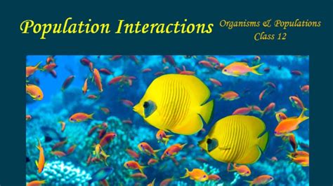 Population Interactions Organisms And Populations Part 5 Biology