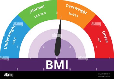 Body Mass Index Chart On White Background Stock Vector Image And Art Alamy