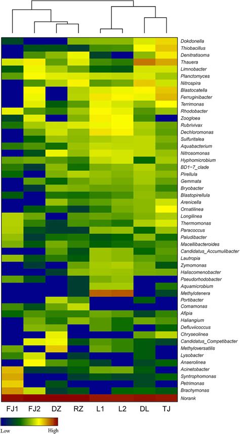 Heatmap Of The Most Abundant Bacterial Genera In Activated Sludge Download Scientific Diagram