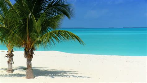 Tropical Island Vacation Idyllic Background Exotic Sandy Beach And