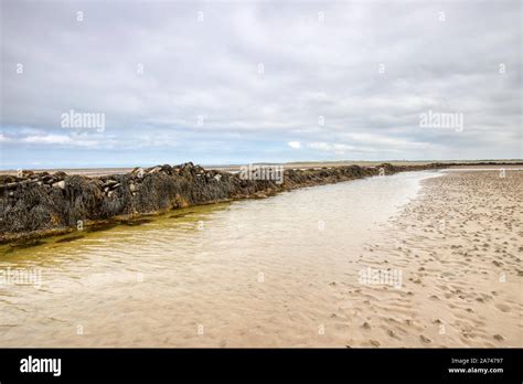 Gorad Beach Trearddur Bay Valley Anglesey North Wales Stock Photo