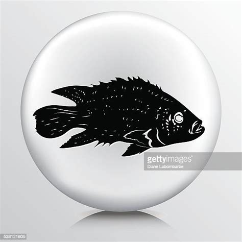 Illustrations Cliparts Dessins Animés Et Icônes De Bass Fish Clipart