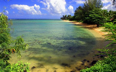 Free Download Download Tropical Island Beach Wallpaper 1680x1050 For