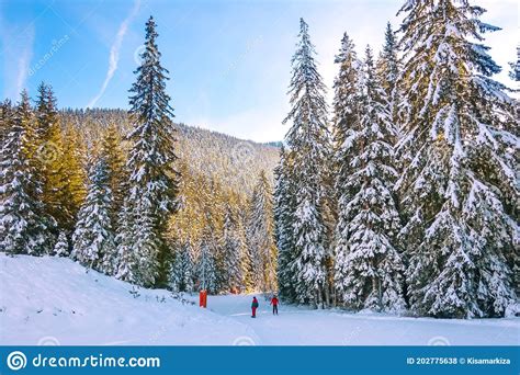 Ski Resort Bansko Bulgaria Mountains And Skiers Editorial Stock Photo Image Of Colors Bright