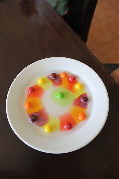 Skittles Science Experiment for Kids | Science Experiment ...