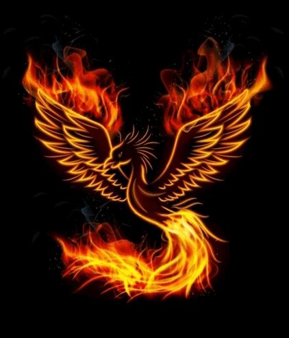Phönix | Phoenix bird tattoos, Phoenix tattoo, Phoenix bird images