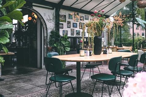 Arriba 33 Imagen Plantas Para Restaurantes Interior Thcshoanghoatham