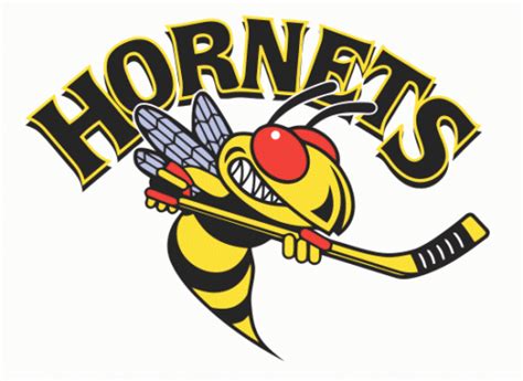 Find & download free graphic resources for hornet logo. Hornets | Hockey logos, Logos, Hornet