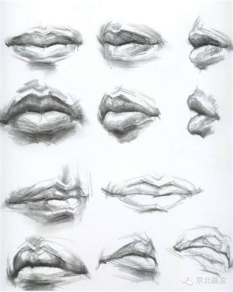 Art Practice Lips Drawing Portrait Drawing Anatomy Drawing