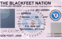 We did not find results for: Montana Tribal ID