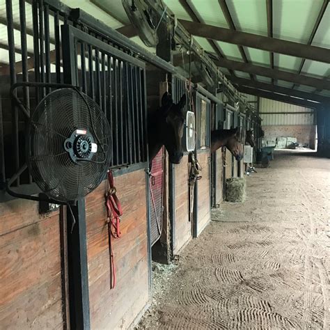 Whats The Best Horse Barn Flooring Stalls Aisles Tack Room