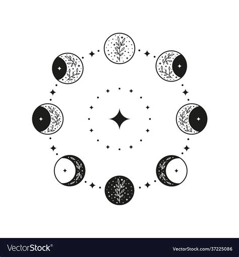 Hand Drawn Black Celestial Moon Phases In Circle Vector Image