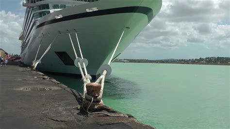 Comparison Of Rat Guards Between 2 Different Cruise Ships In The