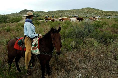 16 Cool Things You Probably Didnt Know About Big Bend National Park