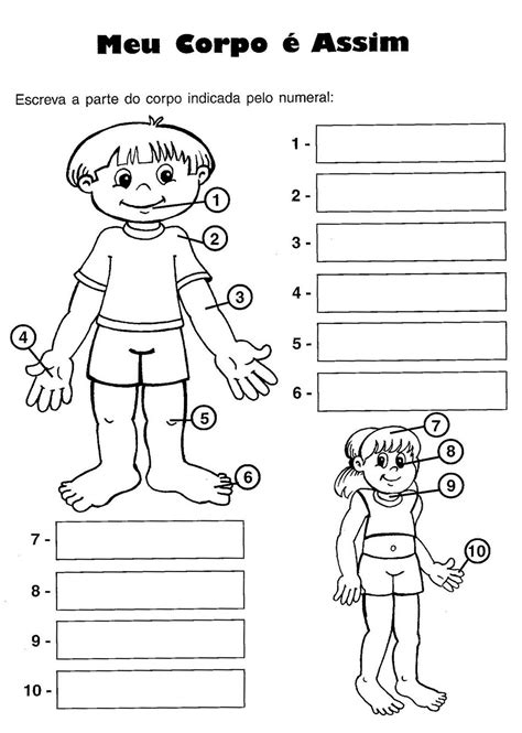 Atividades De Ciencias 1 Ano Partes Do Corpo Humano