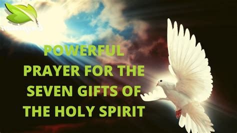 Powerful Prayer For The Seven Ts Of The Holy Spirit Daily Rosary