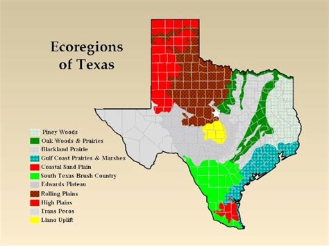 12 S070502 Hecoregions Of Texas Ppt11