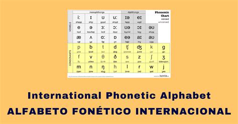 Alfabeto Fonético Internacional Afi Y Uso De Tabla Fonética Inglés Ipa