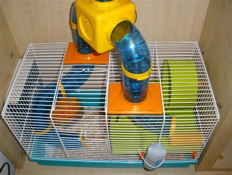 Why And How To Make Hamster Tunnels The Complete Owners Guide