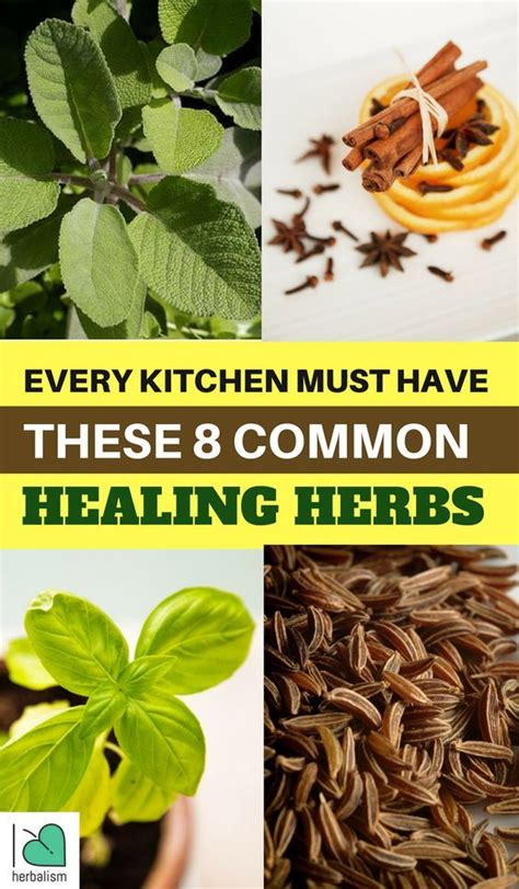 every kitchen must have these 8 common healing herbs with images healing herbs herbalism herbs