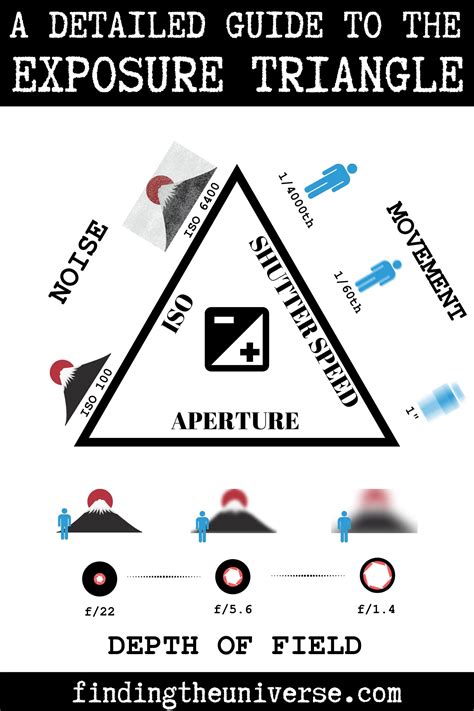 A Triangle With Different Types Of Items In It And The Text Above It Reads A Detailed Guide To
