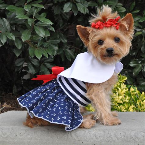 Simply Precious Doggie Dress Pet Clothing Accessories And Shoes Pet