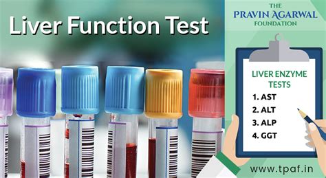 What You Need To Know About The Liver Function Test