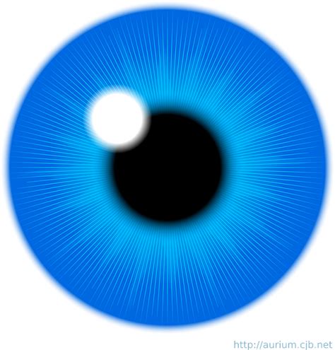 Kostenlose Vektorgrafik Auge Iris Vision Menschliche Kostenloses